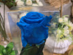 ROSA PRESERVADA AUTENTIC BLUE 55CM.