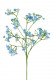 GYPSOPHILLA 70CM CELESTE