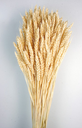 TRIGO FLO BLANCO NAT.