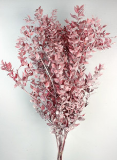 RUSCUS PRES. ROJO/PLATA