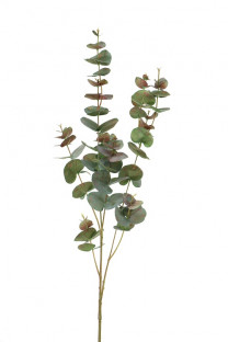 EUCALIPTUS 98CM VERT/ROJO