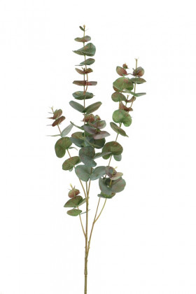 EUCALIPTUS 98CM VERT/ROJO