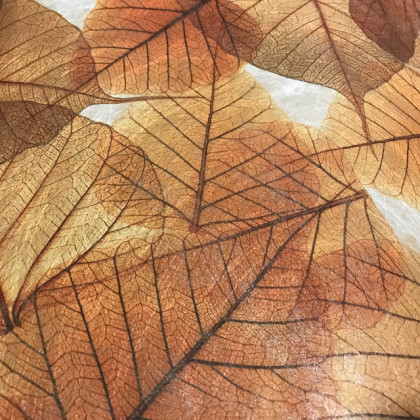 BOBINAS PAPEL FIBRA EUCALIPTO 75CMX20M