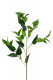 FOLLAGE 90CM VERDE