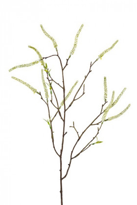 AMARANTHUS 80CM BLANCO