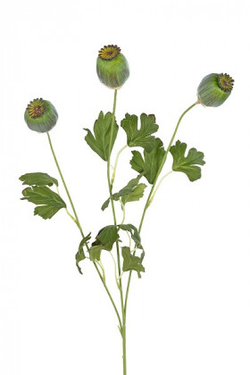 AMAPOLA 68CM VERDE
