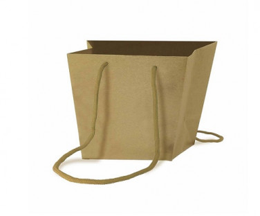 BOLSA KTAFT ALLIANCE 22,5X16X16X25CM NATURAL(10 UNI)
