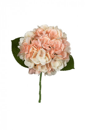 HORTENSIA 45CM SALMON
