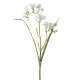 FREESIA 56 CM BLANCA