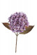 HORTENSIA 65CM LILA