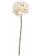 HORTENSIA 60CM CREMA
