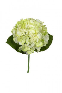 HORTENSIA 45CM VERDE