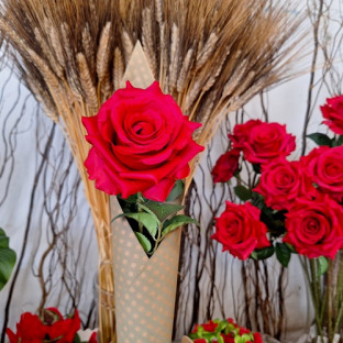 CONOS PAPEL KRAFT 70CM VICHI VERDE