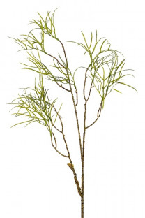 HOYA LINEARIS 98CM VERDE