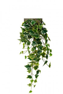 FEUILLE DE VIGNES 60CM BICOLOR