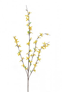 FORSYTHIA 95 CM AMARILLA