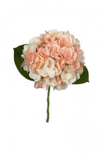 HORTENSIA 45CM SALMON