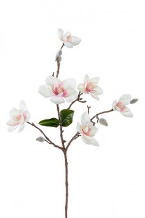 MAGNOLIA 63CM
