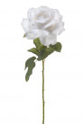 ROSA BLANCA VELOURS 60CM