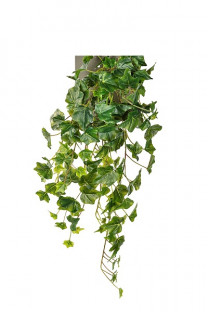 FEUILLE DE VIGNES 60CM VERDE