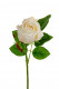 BOUTON DE ROSE 58 CM BLANC
