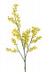 MIMOSA 76CM AMARILLA.