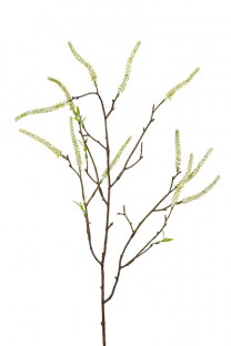 AMARANTHUS 80CM BLANCO