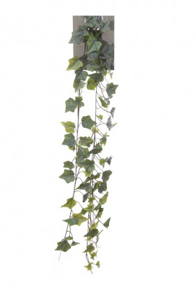 LIERRE GRLDE 80CM VERDE