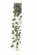 LIERRE GRLDE 80CM VERDE