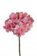 HORTENSIA 50CM ROSA