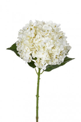 HORTENSIA 63CM BLANCO