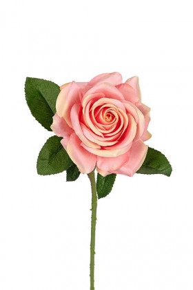 ROSA 62CM SALMON/ROSA