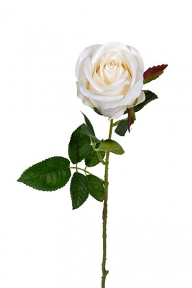 ROSA 57CM BLANCA