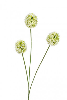 ALLIUM 80CM BLANCO
