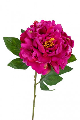 PAEONIA 78CM FUCSIA