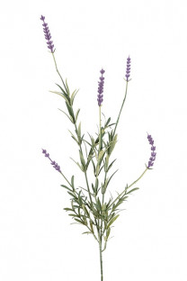 LAVENDA 67CM LILA