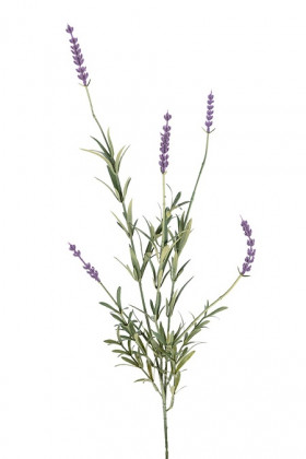 LAVENDA 67CM LILA
