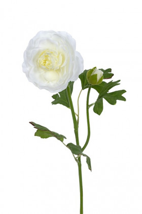 RANUNCULUS 53 CM BLANCO