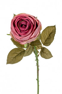 ROSA 63CM ROSA INTENSO