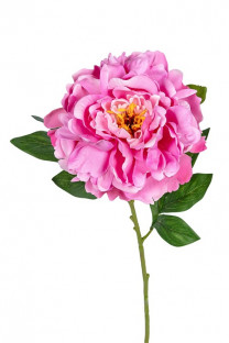 PAEONIA 78CM ROSA INTENSO