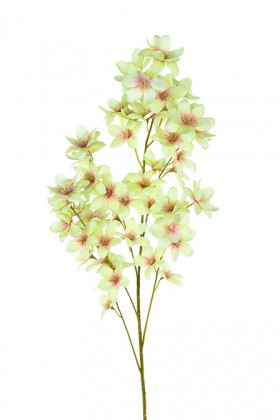 FRANGIPANI 90CM VERDE