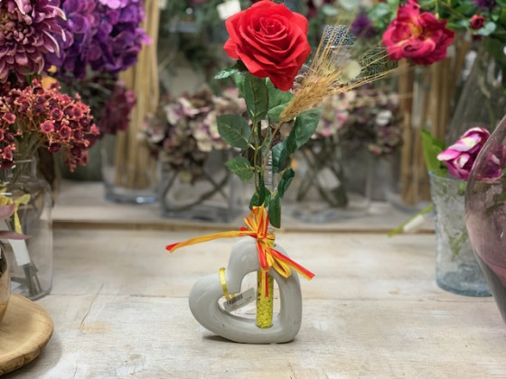 CENTRO CORAZON CEMENTO