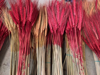 ESPIGUES SEQUES COLOR.