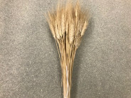 ESPIGUES SEQUES BIGOTI BLANC 400 GR.