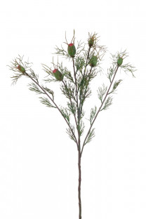 NIGELLA 60CM VERT