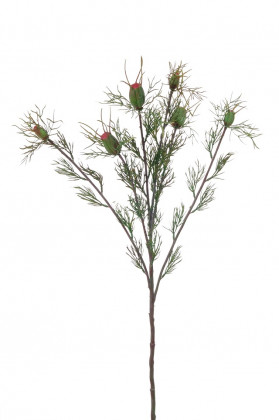NIGELLA 60CM VERT