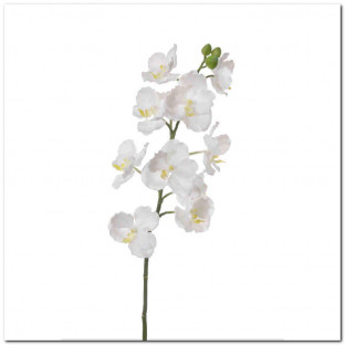 VANDA-ORCHIDEETAK X11 85CM