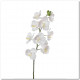 VANDA-ORCHIDEETAK X11 85CM