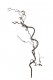 DRY BRANCH 3