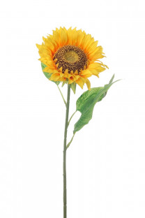 TOURNESOL 75CM